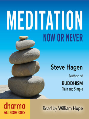 cover image of Meditation Now or Never